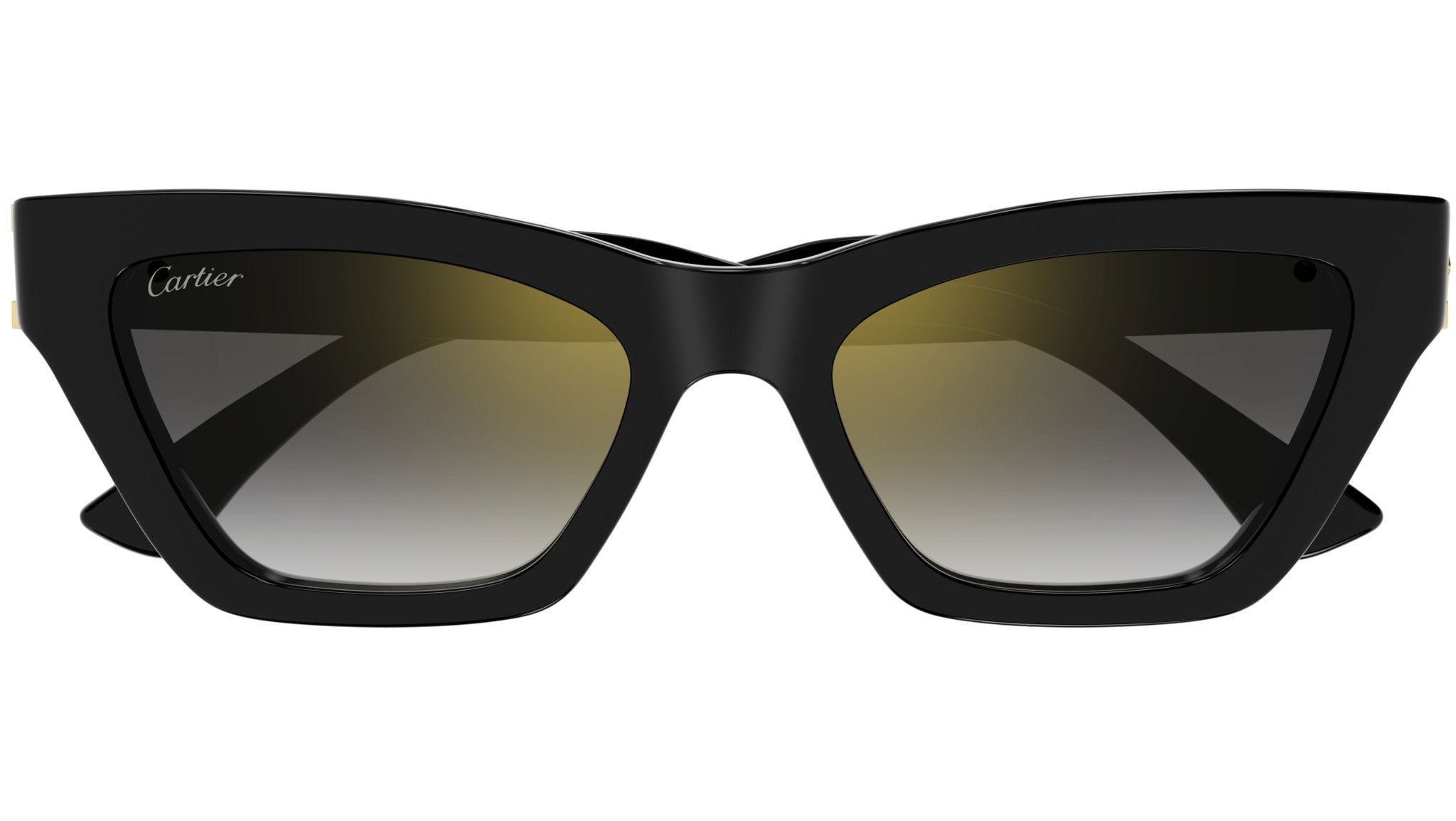 Occhiali da sole CARTIER CT0437S Black