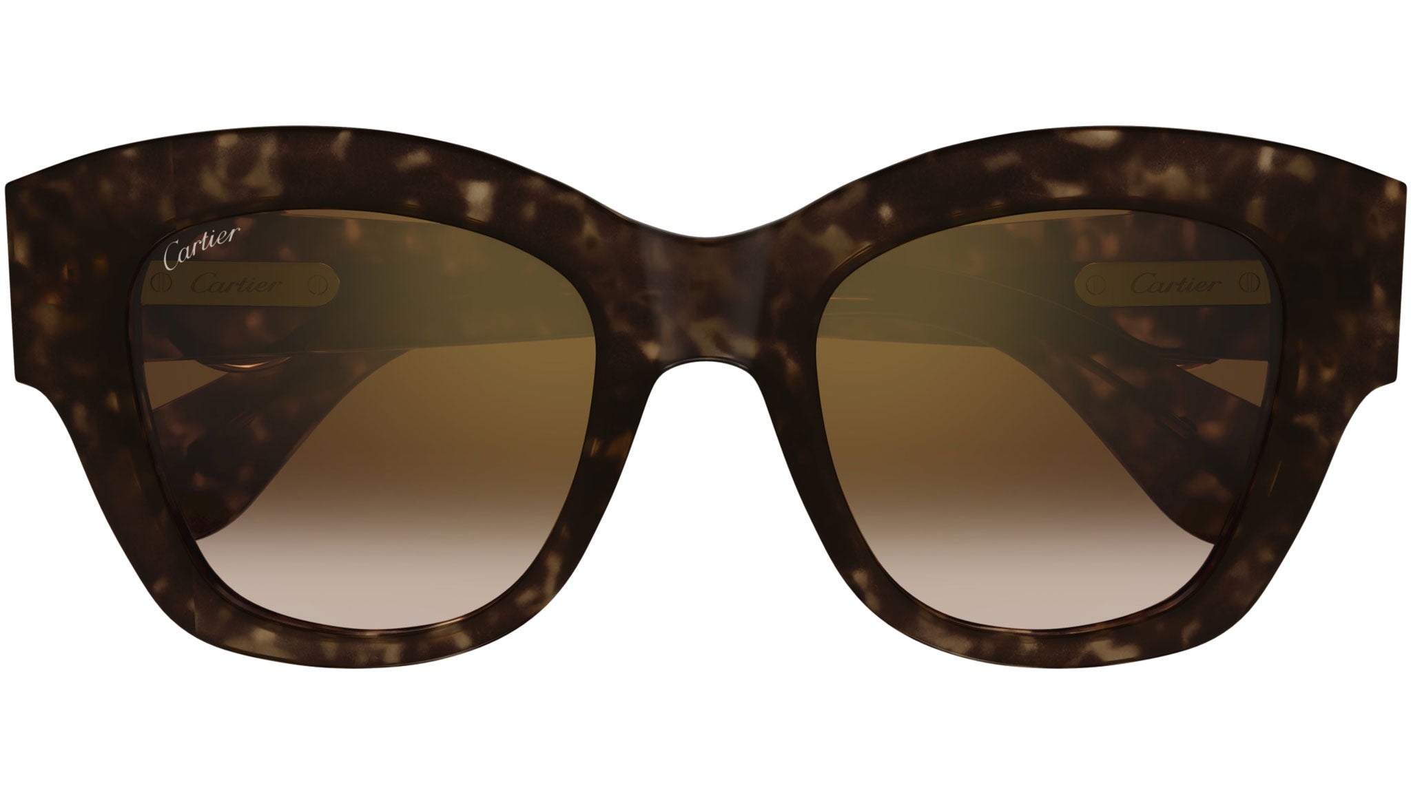 Occhiali da sole CARTIER CT0547S Dark tortoiseshell effect
