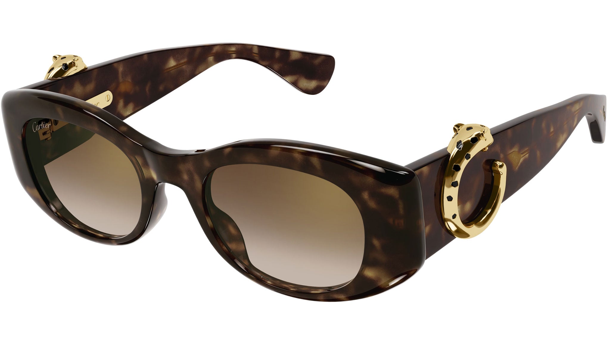 Occhiali da sole CARTIER CT0472S Dark tortoiseshell