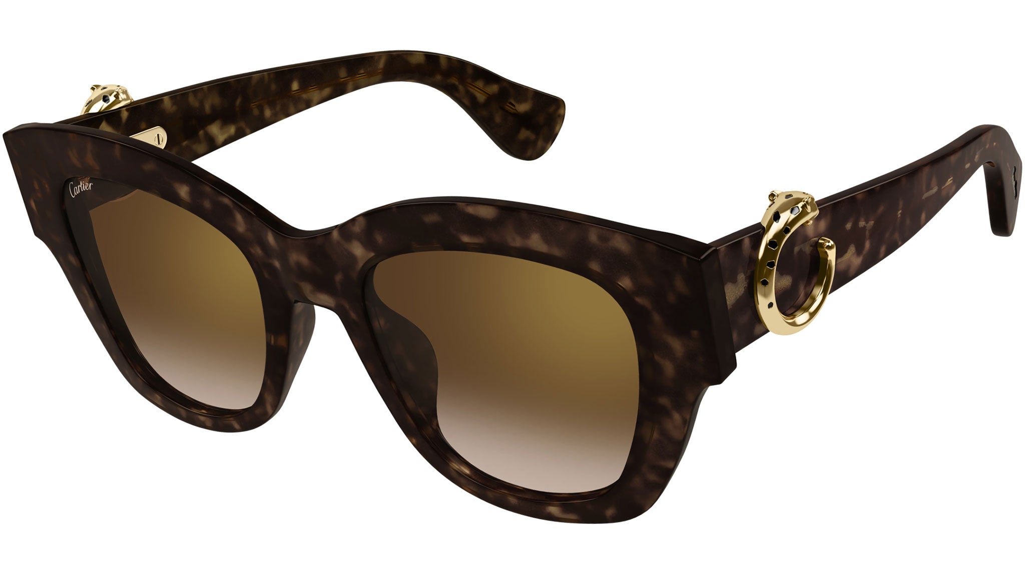 Occhiali da sole CARTIER CT0547S Dark tortoiseshell effect