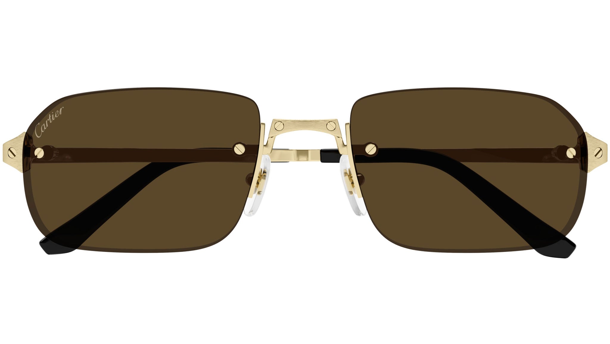 Occhiali da sole CARTIER CT0460S Brushed smooth golden finish