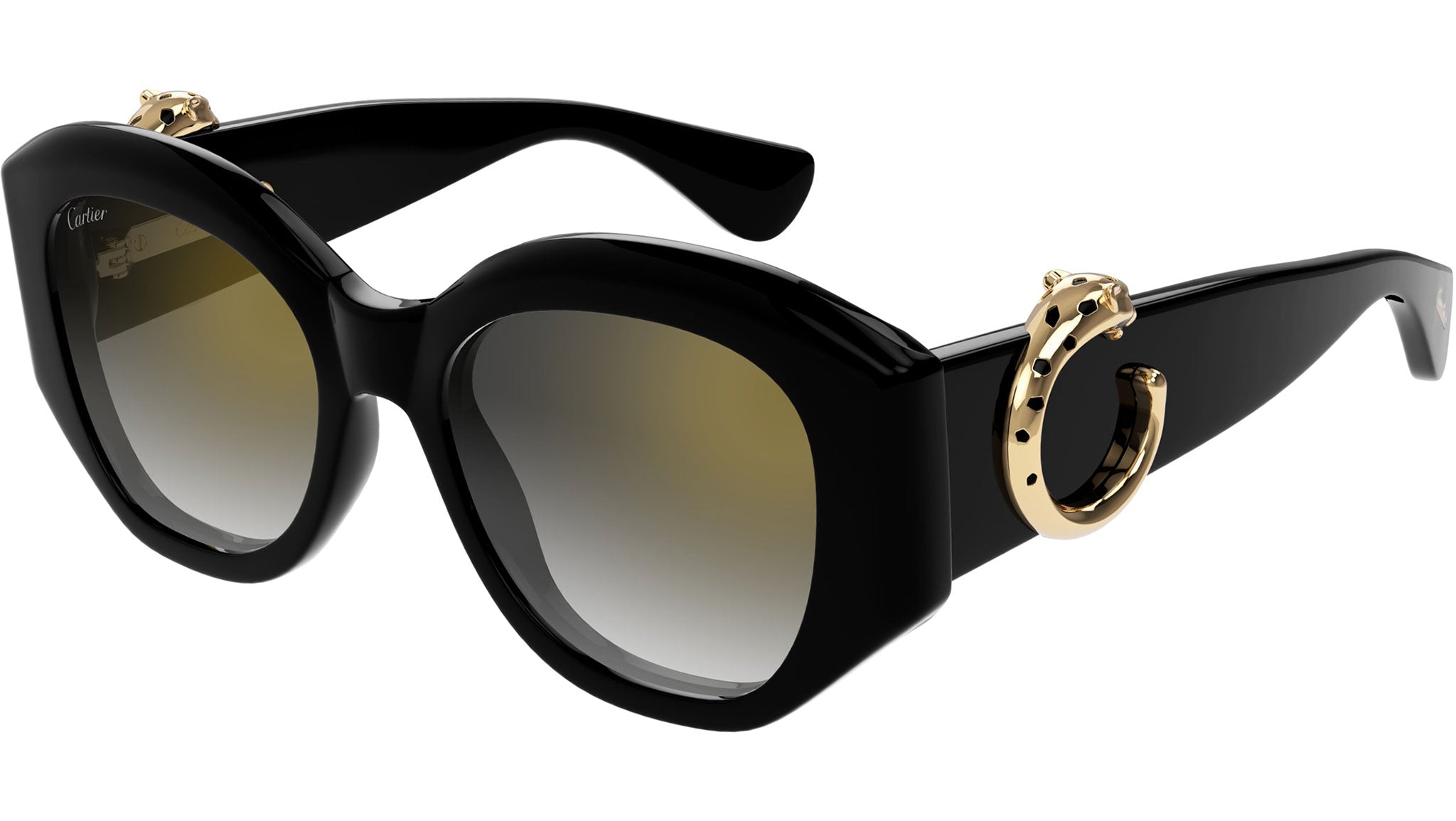Occhiali da sole CARTIER CT0502S Black