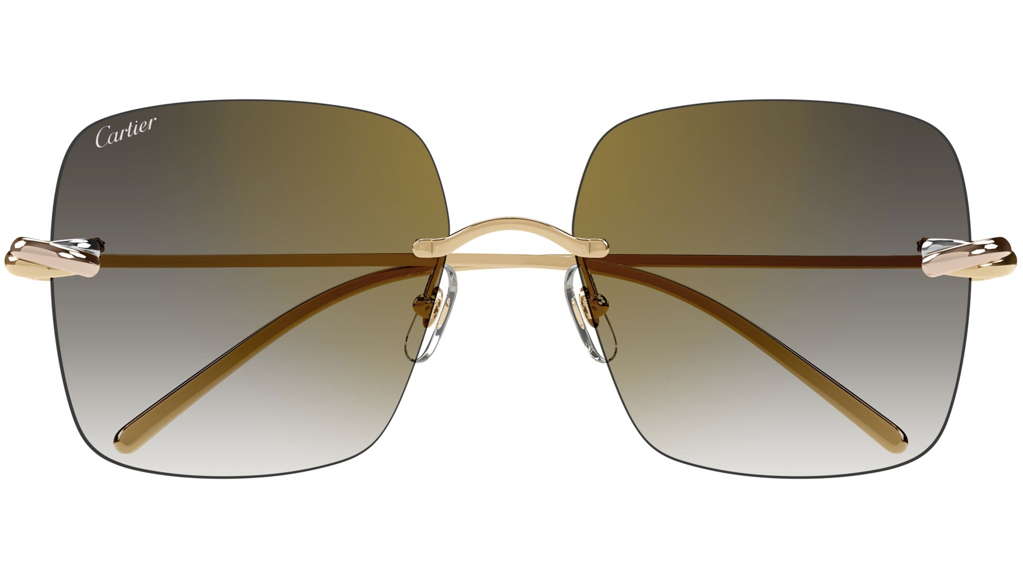 Occhiali da sole CARTIER CT0508S Smooth golden finish