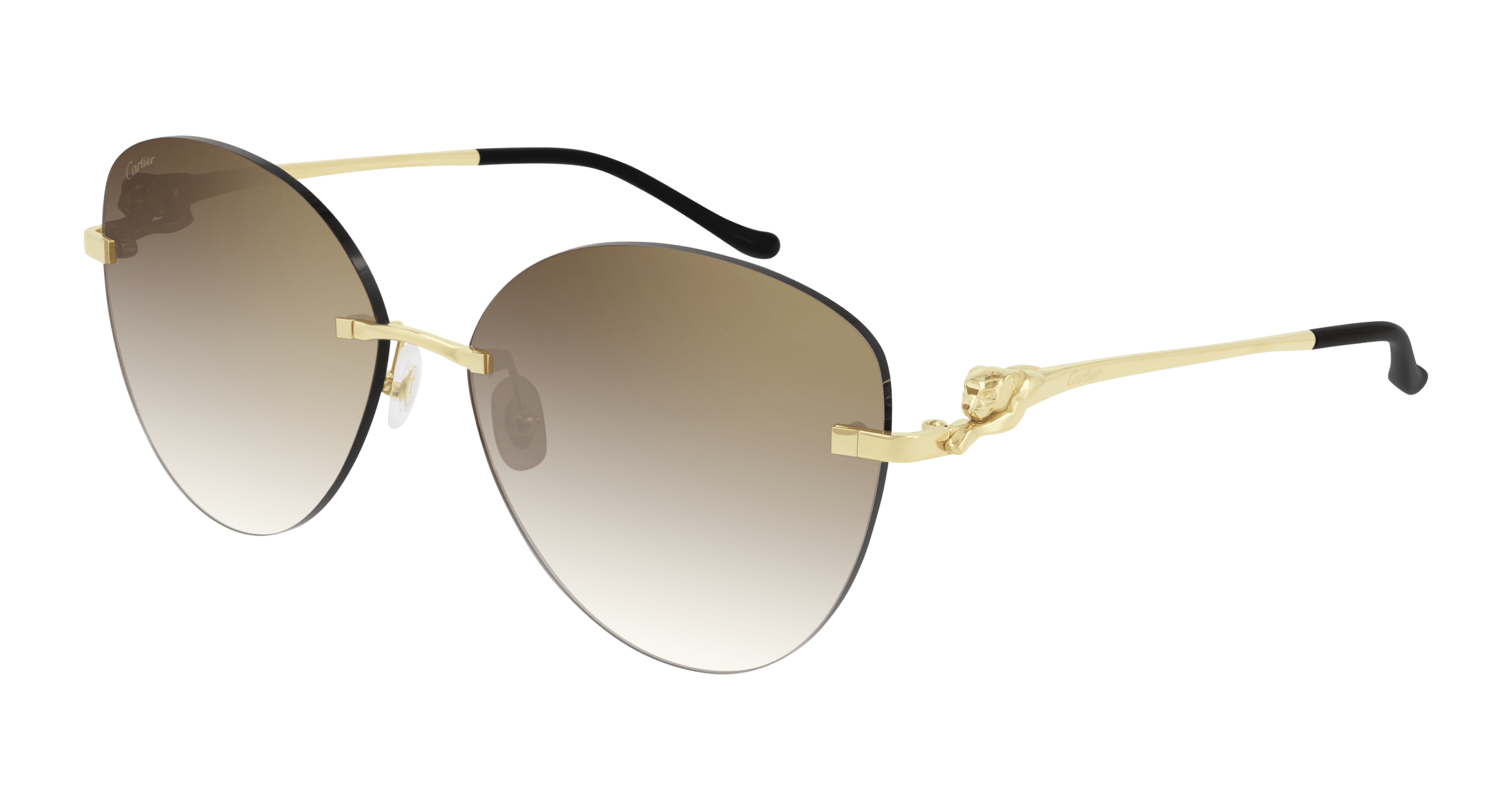 Cartier CT0269S 002