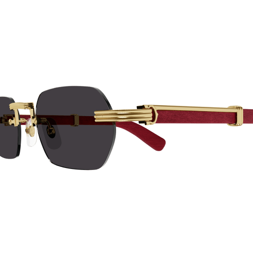 Occhiali da sole CARTIER CT0362S Oro