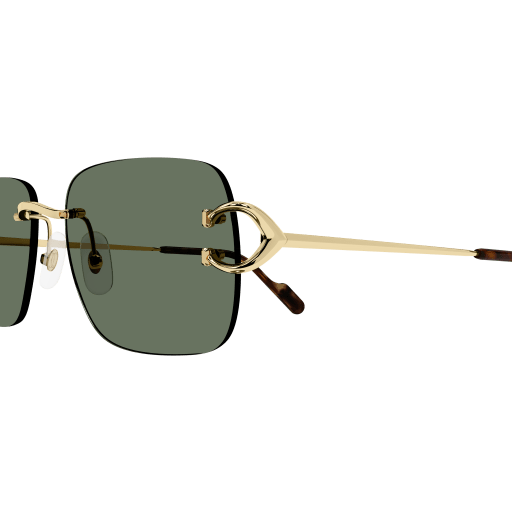 Occhiali da sole CARTIER CT0330S Oro