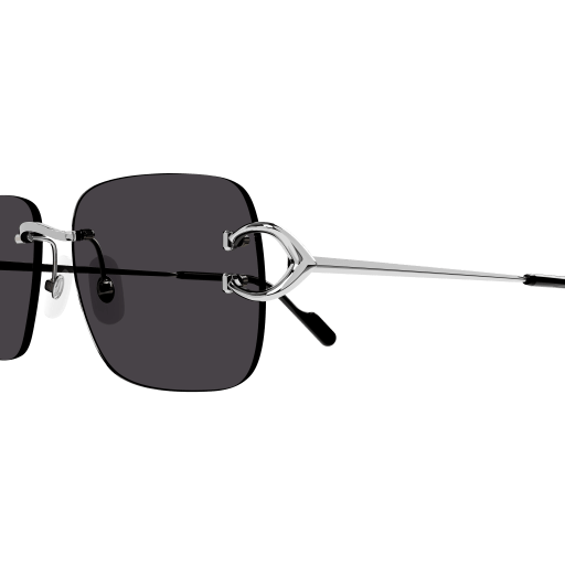 Occhiali da sole CARTIER CT0330S Argento