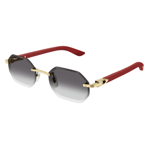 Occhiali da sole CARTIER CT0439S oro a