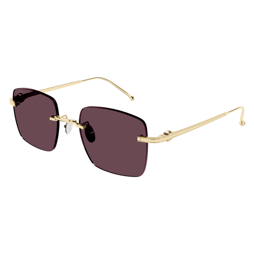 Occhiali da sole CARTIER CT0403S ORO2