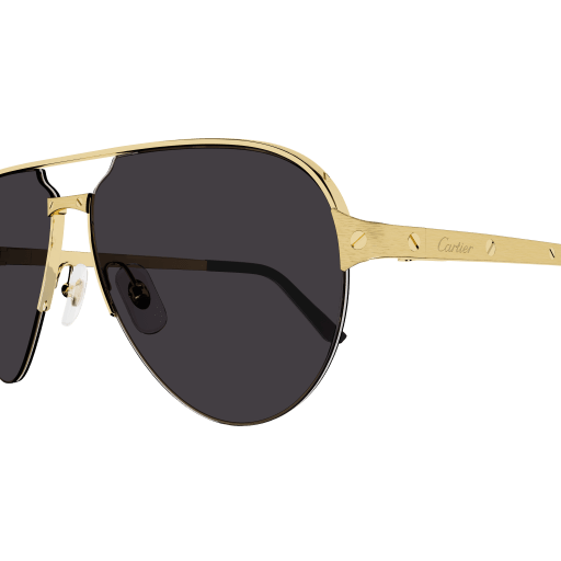 Occhiali da sole CARTIER CT0386S ORO