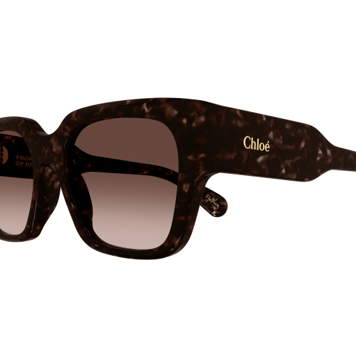 Occhiali da sole CHLOÉ CH0190S HAVANA