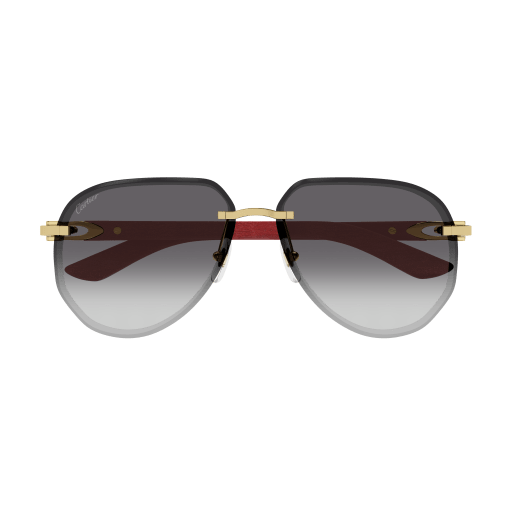 Occhiali da sole CARTIER CT0440S ORO3
