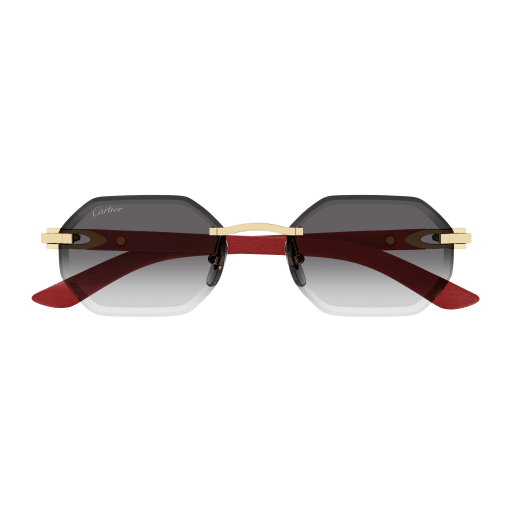 Occhiali da sole CARTIER CT0439S oro a