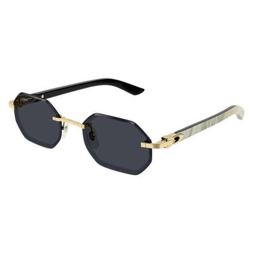 Occhiali da sole CARTIER CT0439S Oro