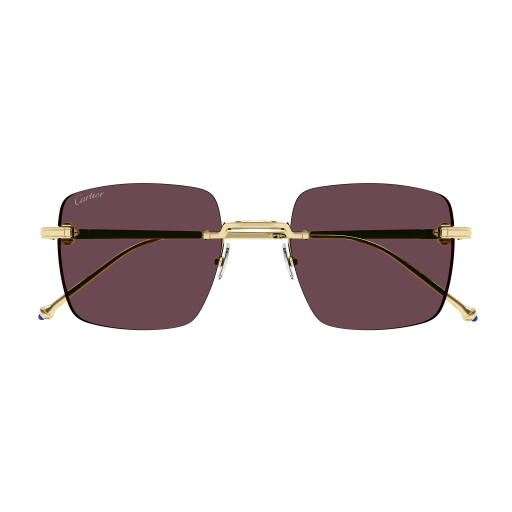 Occhiali da sole CARTIER CT0403S ORO2