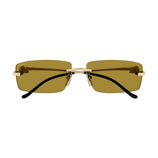 Occhiali da sole CARTIER CT0430S ORO2