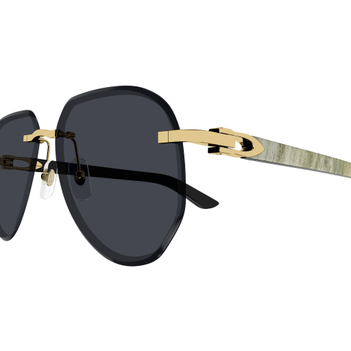 Occhiali da sole CARTIER CT0440S ORO 2