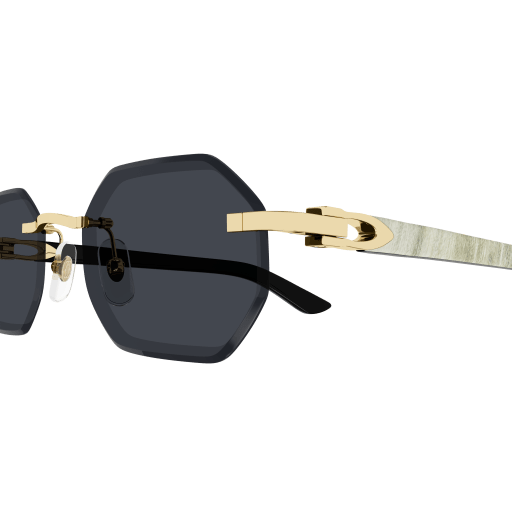 Occhiali da sole CARTIER CT0439S Oro