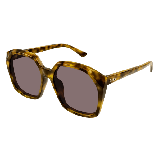 Occhiali da sole CHLOÉ CH0280S Havana