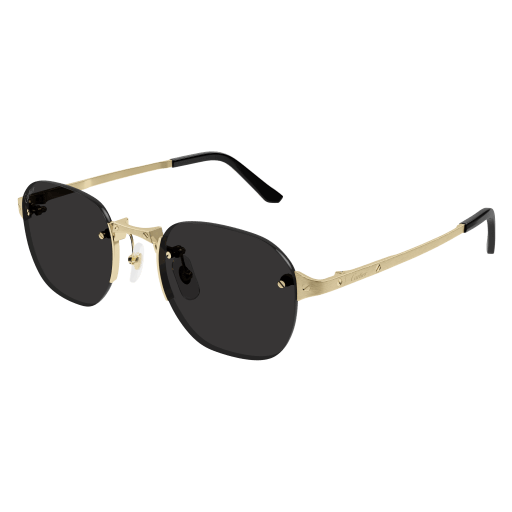 Occhiali da sole CARTIER CT0459S ORO