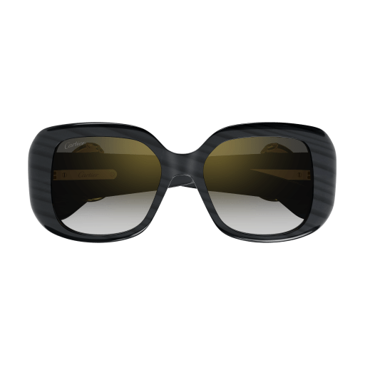Occhiali da sole CARTIER CT0471S Grigio