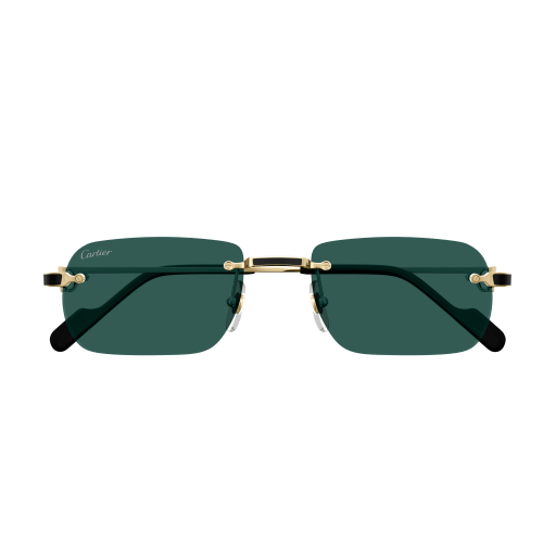 Occhiali da sole CARTIER CT0498S ORO2