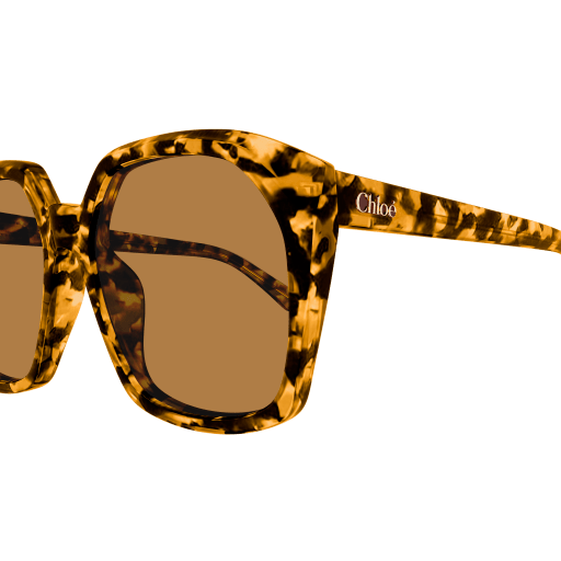 Occhiali da sole CHLOÉ CH0280S HAVANA 2