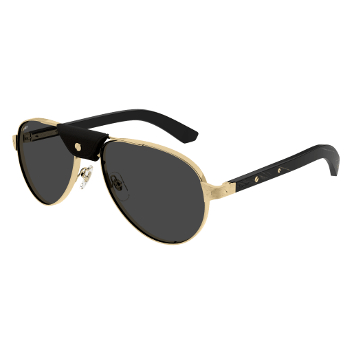 Occhiali da sole CARTIER CT0495S ORO