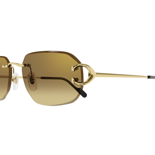 Occhiali da sole CARTIER CT0468S Oro m