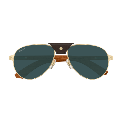 Occhiali da sole CARTIER CT0495S ORO2