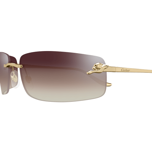 Occhiali da sole CARTIER CT0503S ORO2