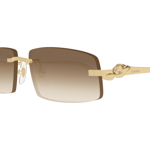 Occhiali da sole CARTIER CT0505S ORO2