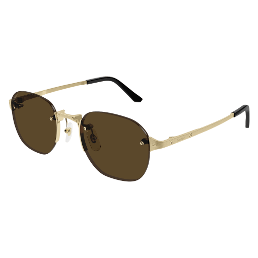 Occhiali da sole CARTIER CT0459S ORO2