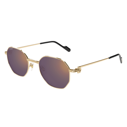 Occhiali da sole CARTIER CT0500S ORO3