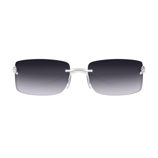 Occhiali da sole CARTIER CT0503S ARGENTO