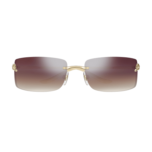 Occhiali da sole CARTIER CT0503S ORO2
