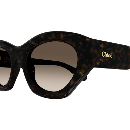 Occhiali da sole CHLOÉ CH0220S HAVANA