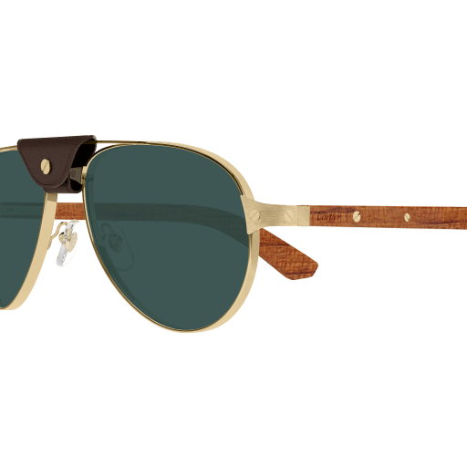 Occhiali da sole CARTIER CT0495S ORO2