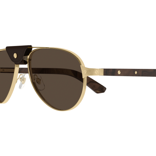 Occhiali da sole CARTIER CT0495S ORO3