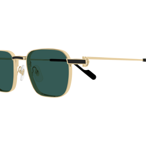 Occhiali da sole CARTIER CT0497S ORO2