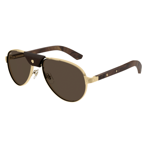 Occhiali da sole CARTIER CT0495S ORO3