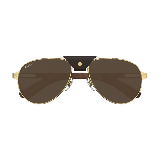 Occhiali da sole CARTIER CT0495S ORO3