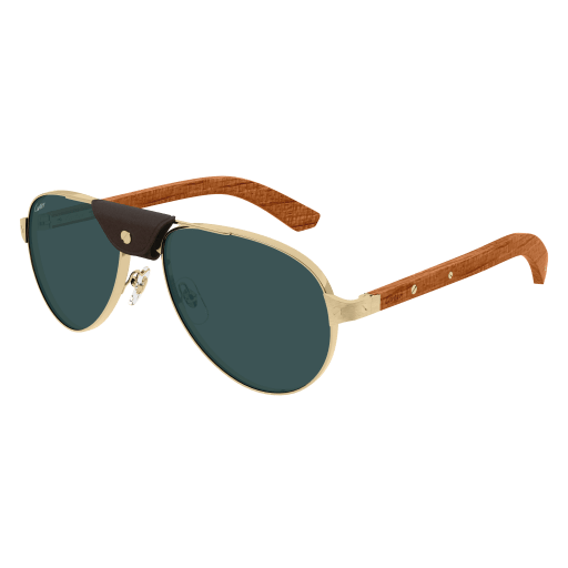 Occhiali da sole CARTIER CT0495S ORO2