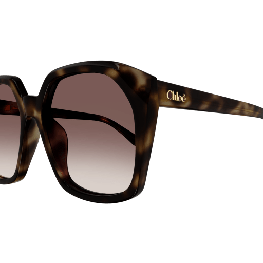 Occhiali da sole CHLOÉ CH0280S HAVANA 1
