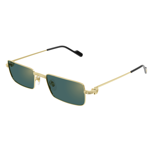 Occhiali da sole CARTIER CT0501S ORO2