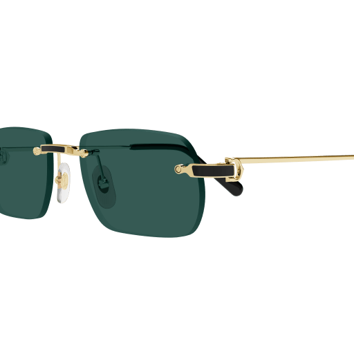 Occhiali da sole CARTIER CT0498S ORO2