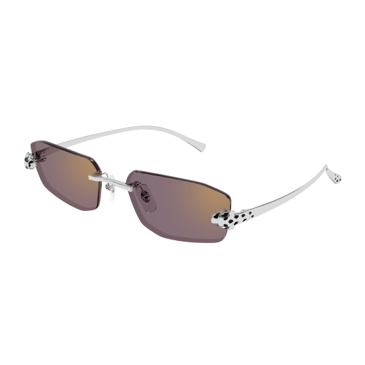 Occhiali da sole CARTIER CT0474S Argento