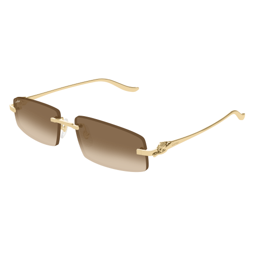 Occhiali da sole CARTIER CT0505S ORO2