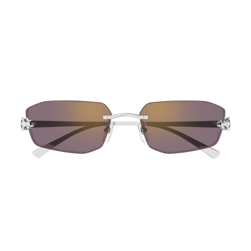 Occhiali da sole CARTIER CT0474S Argento