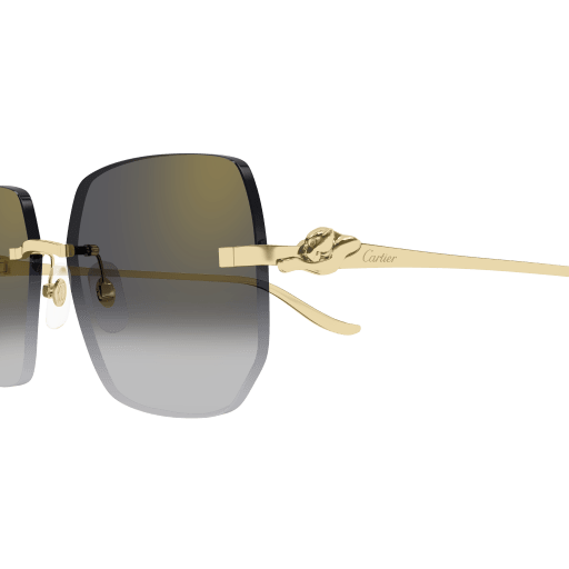 Occhiali da sole CARTIER CT0549S Oro